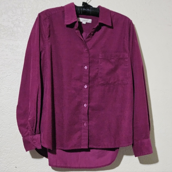 Loft Fuchsia Corduroy Corduroy Everyday Relaxed Pocket Tunic Shirt - Picture 4 of 6